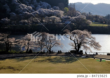 麗らかな津久井湖畔　【相模原市津久井　3月】 84715625