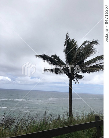 ハワイ クアロアランチから見える雨の降る海 ハワイ クアロアランチから見える雨の降る海 84716507