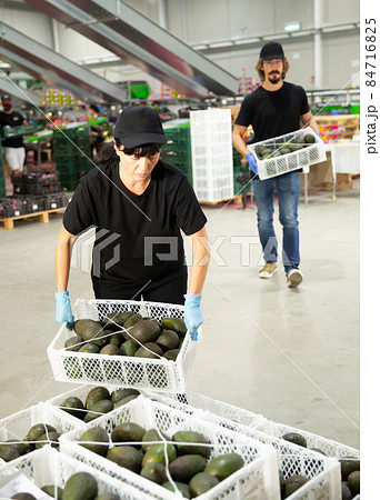 Female warehouse worker loading boxes with avocado 84716825