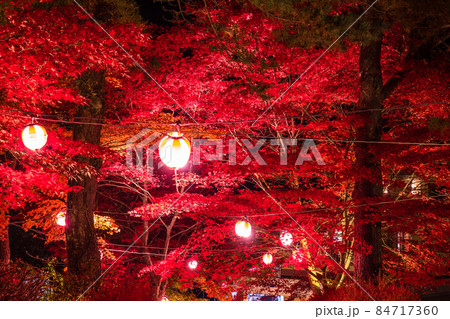 《山梨県》山中湖の紅葉・ライトアップ 《山梨県》山中湖の紅葉・ライトアップ 84717360