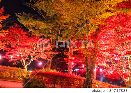 《山梨県》山中湖の紅葉・ライトアップ 《山梨県》山中湖の紅葉・ライトアップ 84717383