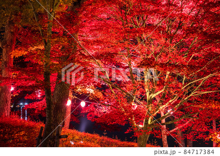 《山梨県》山中湖の紅葉・ライトアップ 84717384