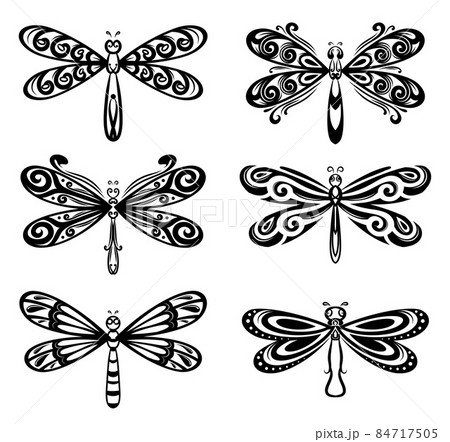 Collection of silhouettes dragonflies elegant for tattoo design of illustration Collection of silhouettes dragonflies elegant for tattoo design of illustration 84717505
