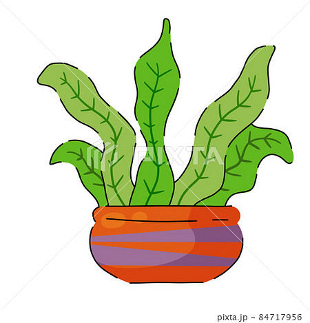 Potted plant. Homemade Green leaves of houseplant. Brown pot and House decoration. Gardening and botany. Potted plant. Homemade Green leaves of houseplant. Brown pot and House decoration. Gardening and botany. 84717956