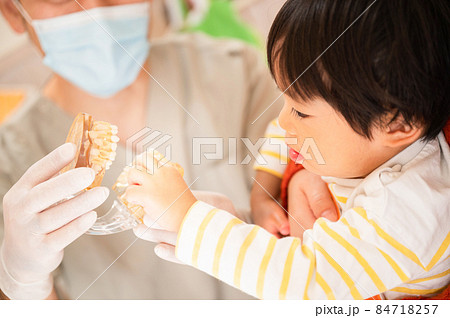 模型を使って子どもの歯を説明する小児歯科医のイメージ 84718257