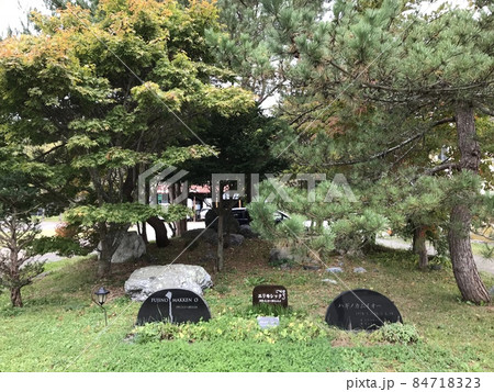 馬のお墓 84718323