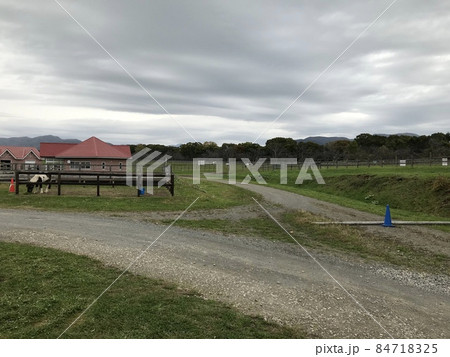 うらかわ優駿ビレッジAERUのパドック 84718325