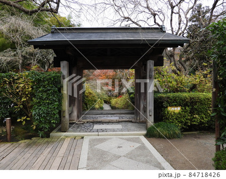 明月院　Meigetsu-in temple 84718426