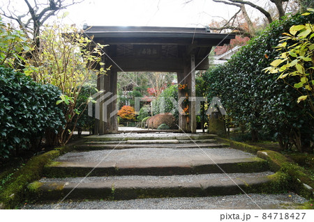 明月院 Meigetsu-in temple 明月院 Meigetsu-in temple 84718427