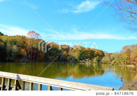 穏やかな癒しの秋　風景 84718676