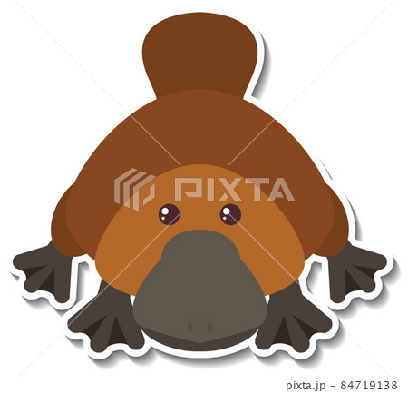 Cute platypus animal cartoon sticker Cute platypus animal cartoon sticker 84719138