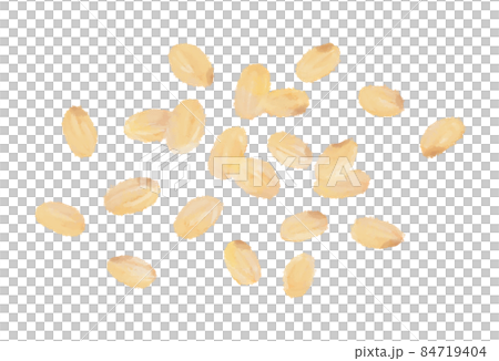 糙米手繪插畫 84719404