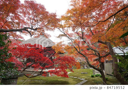 長寿寺 Choujyuji temple 長寿寺 Choujyuji temple 84719552