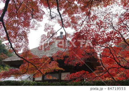 長寿寺　Choujyuji temple 84719553