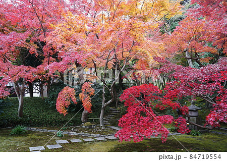 長寿寺 Choujyuji temple 長寿寺 Choujyuji temple 84719554