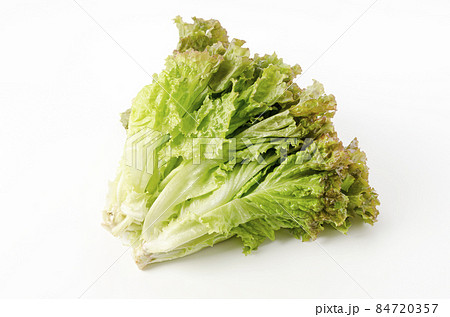 サニーレタス サニーレタス 84720357