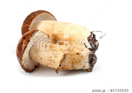 King bolete (boletus edulis). 84720593