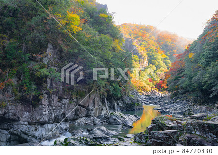 山口県長門峡の紅葉 山口県長門峡の紅葉 84720830