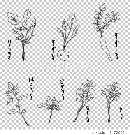 春の七草の手描きモノクロイラスト 84720954