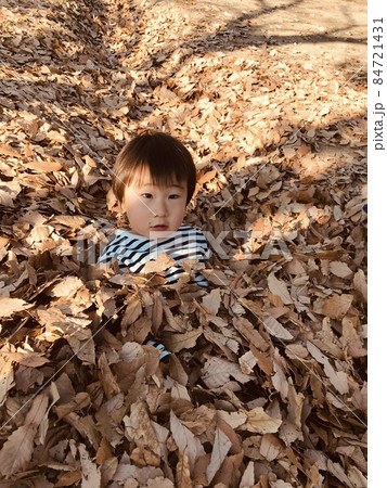 落ち葉のふかふかお風呂に入った男の子 落ち葉のふかふかお風呂に入った男の子 84721431