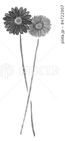花のイラスト ガーベラ のイラスト素材