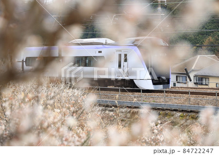 梅の花と中央線 84722247