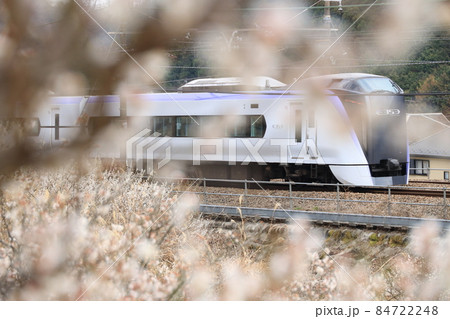 梅の花と中央線 84722248