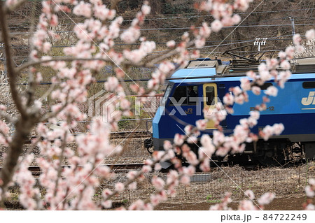 梅の花と中央線 梅の花と中央線 84722249