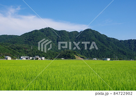 福井市の田園地帯から望む文殊山 84722902