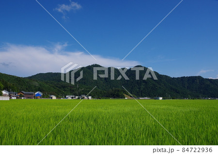 福井市の田園地帯から望む文殊山 84722936