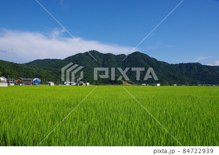 福井市の田園地帯から望む文殊山 84722939