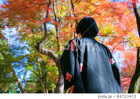 色鮮やかな紅葉を眺める和服の女性 色鮮やかな紅葉を眺める和服の女性 84723415