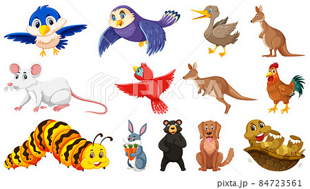 Set of isolated different animals 84723561
