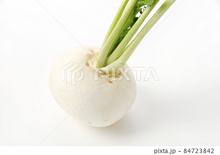 カブ カブ 84723842