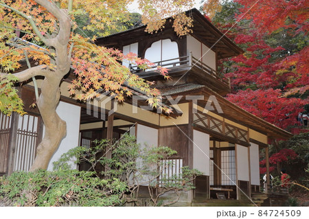 紅葉の三渓園 紅葉の三渓園 84724509
