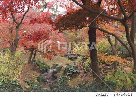 紅葉の三渓園 紅葉の三渓園 84724512