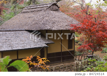 紅葉の三渓園 紅葉の三渓園 84724514
