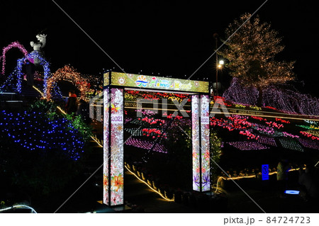 長島町 鹿児島県出水郡 初のイルミネーションイベント フラワーズオブヒカリ の写真素材