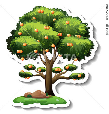 Orange tree sticker on white background 84725408