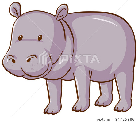 Hippopotamus cartoon on white background Hippopotamus cartoon on white background 84725886