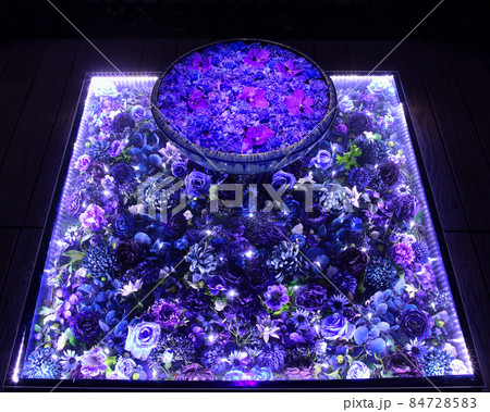 足利市 あしかがフラワーパーク 花手水のライトアップ 足利市 あしかがフラワーパーク 花手水のライトアップ 84728583