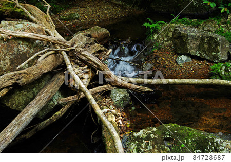 奄美の大和村のマテリアの滝の渓流 84728687