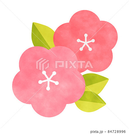 梅の花 イラスト素材のイラスト素材 [84728996] - PIXTA