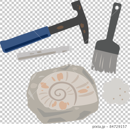 Ammonite fossils and brushes and hammers 84729157