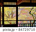 瑠璃光院 紅葉 84729710