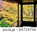 瑠璃光院 紅葉 84729746