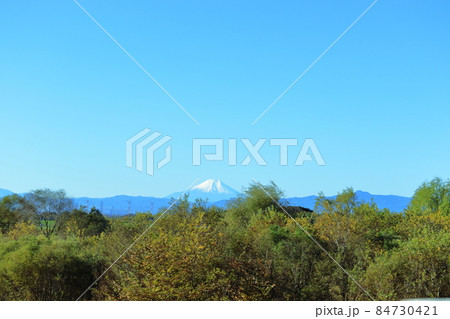 雪化粧した富士山 埼玉県北本市からの眺望 雪化粧した富士山 埼玉県北本市からの眺望 84730421