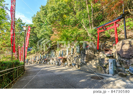 秋の最上稲荷山妙教寺 旧本殿へと続く参道 岡山県岡山市 秋の最上稲荷山妙教寺 旧本殿へと続く参道 岡山県岡山市 84730580