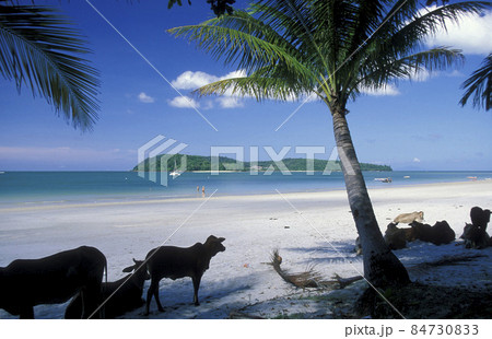 MALAYSIA LANGKAWI BEACH 84730833