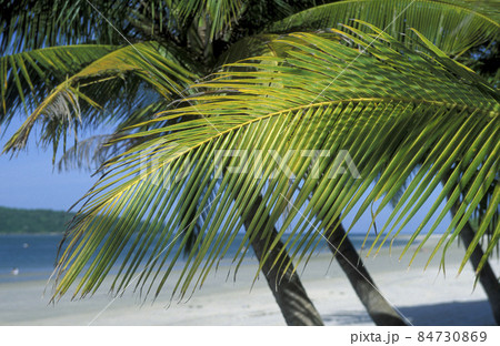 MALAYSIA LANGKAWI BEACH 84730869